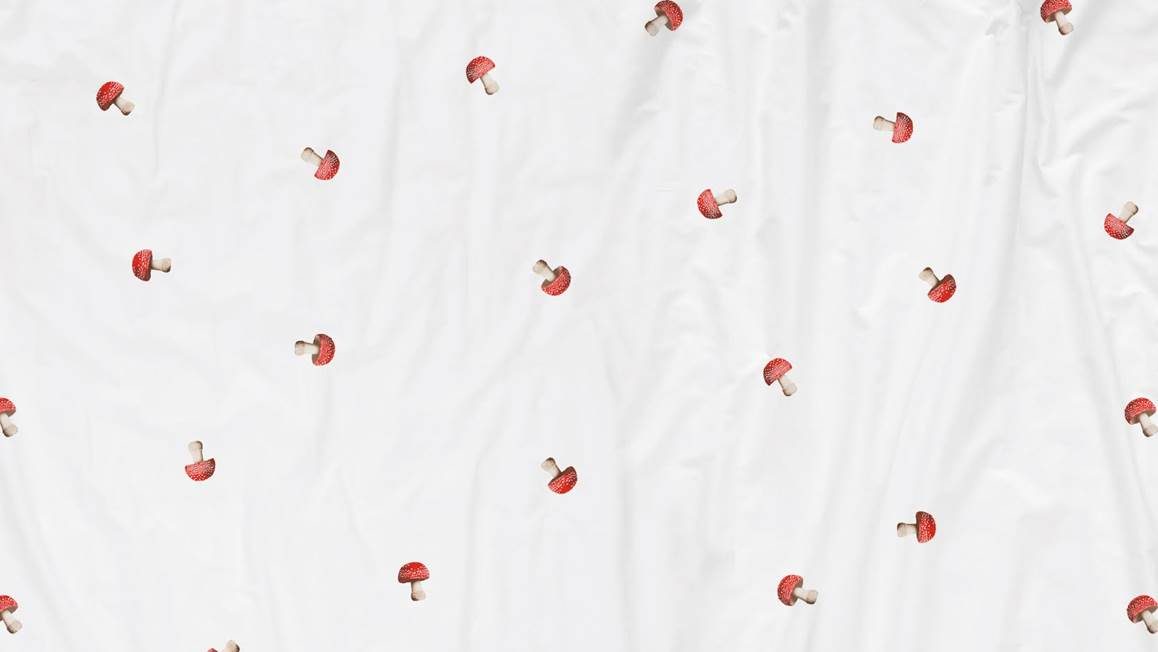 SNURK Mushrooms housse de couette en flanelle