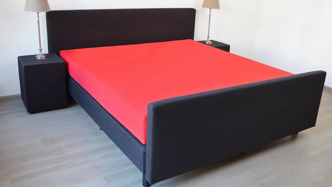 Snoozing drap-housse coton