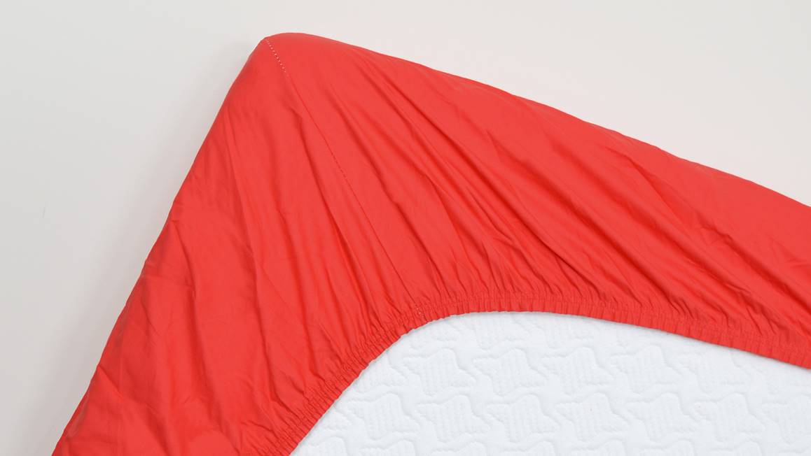 Snoozing drap-housse coton
