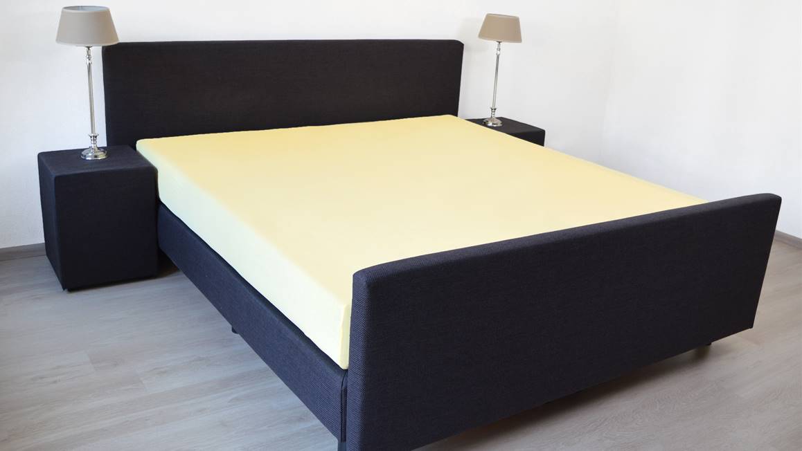 Snoozing drap-housse coton