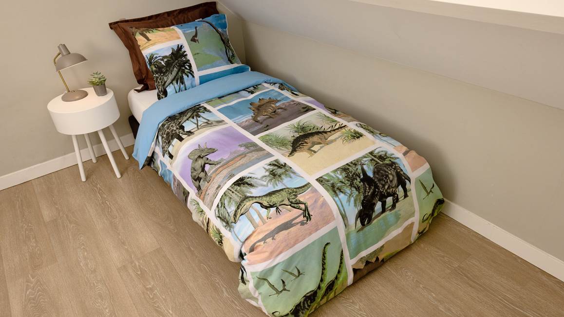 Snoozing Dinosaur housse de couette en flanelle multicolore