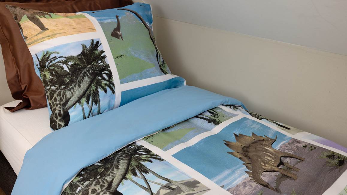 Snoozing Dinosaur housse de couette en flanelle multicolore