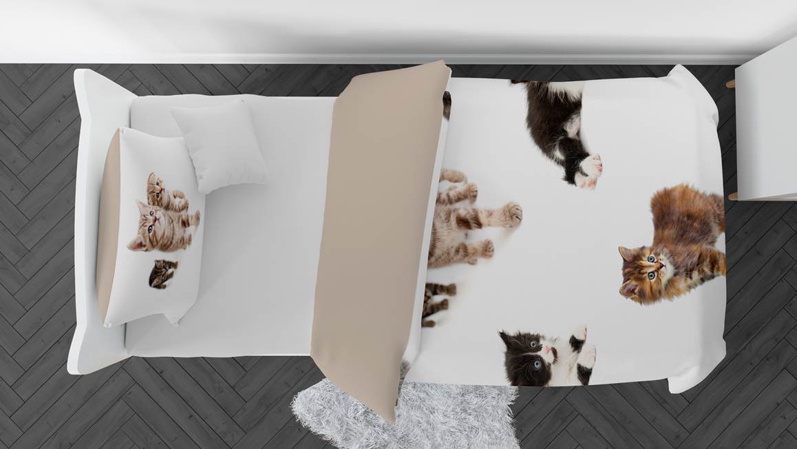 Snoozing Kittens housse de couette en flanelle multicolore