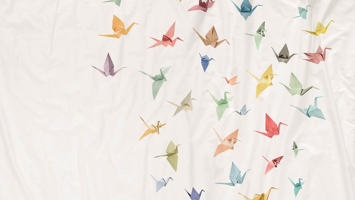 SNURK Crane Birds housse de couette