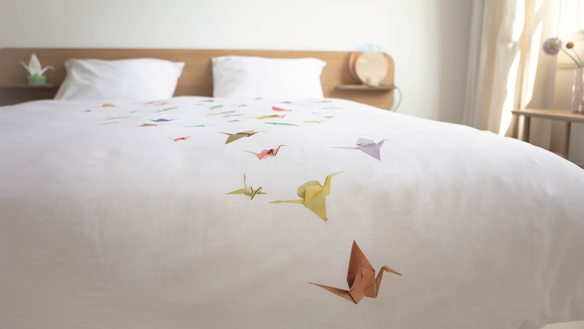 SNURK Grues housse de couette