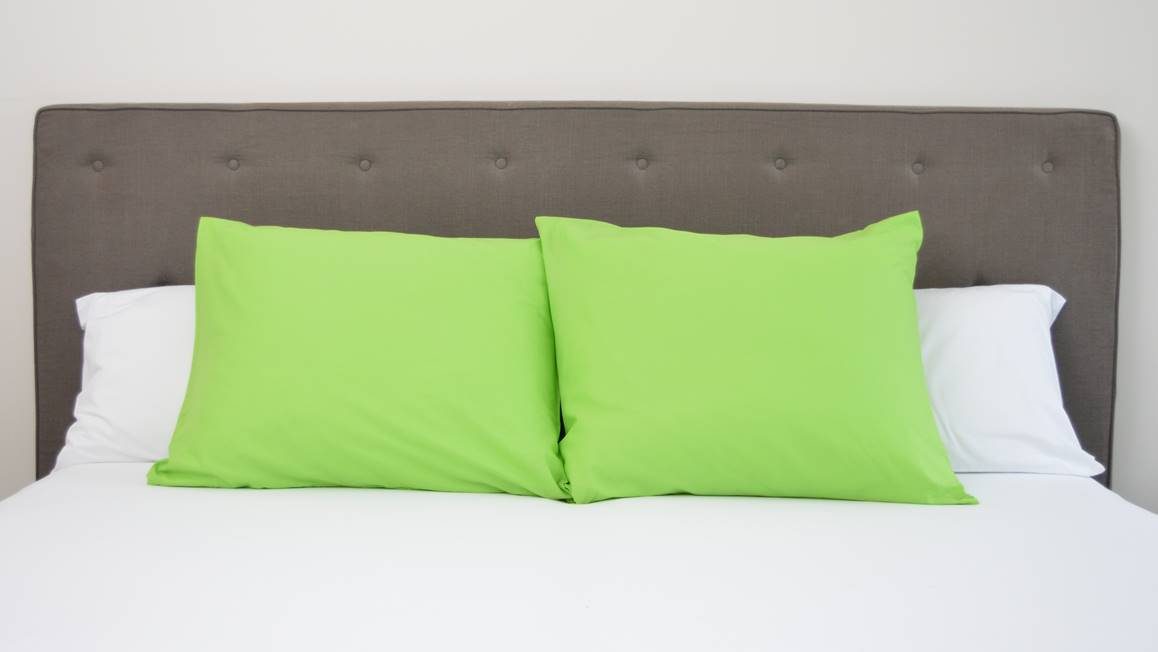 Snoozing taies d'oreiller flanelle (lot de 2)