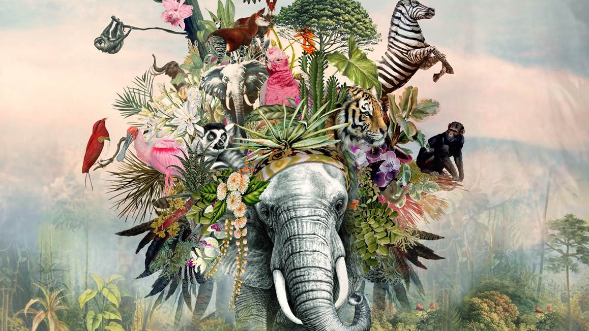 Good Morning Niels housse de couette