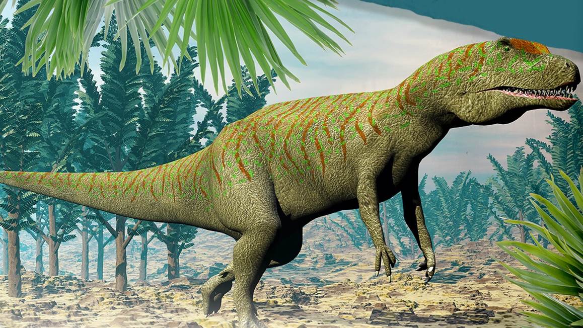 Good Morning Dino housse de couette multicolore