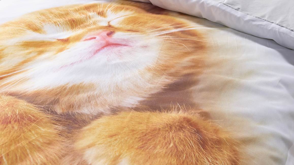 iSeng Chaton housse de couette blanc