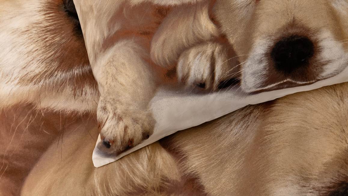 Snoozing Puppy Love housse de couette multicolore