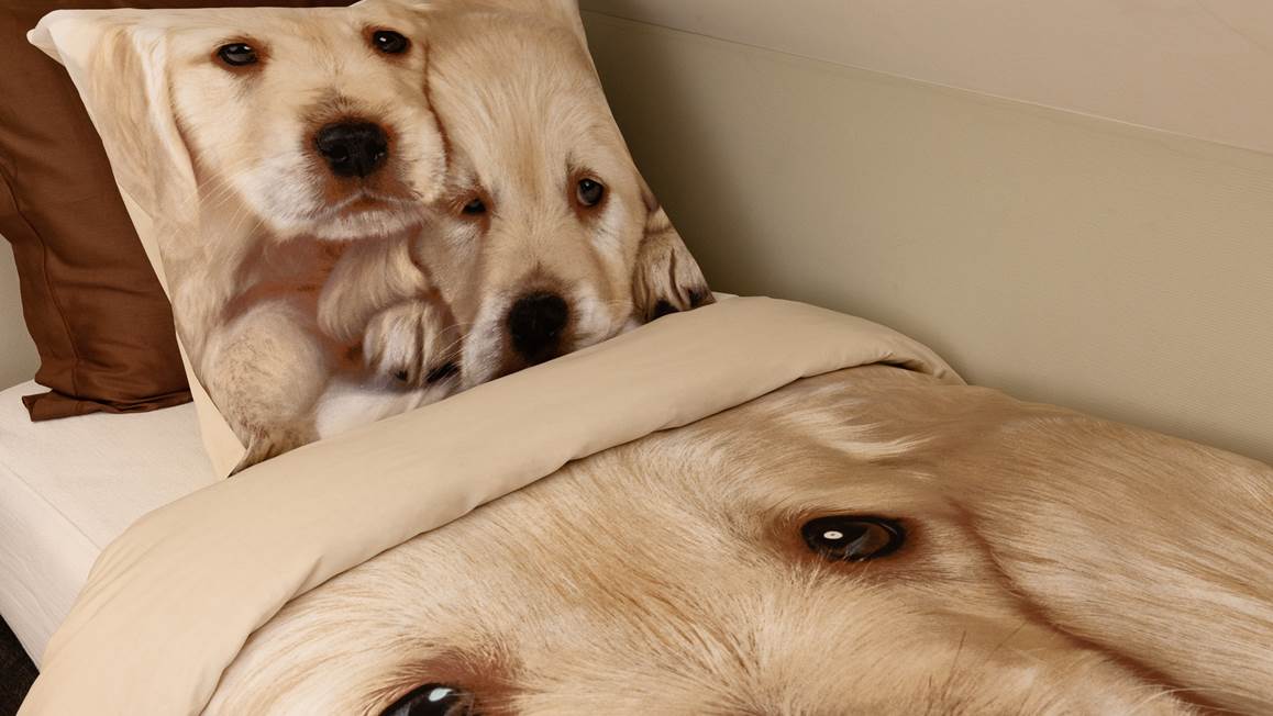 Snoozing Puppy Love housse de couette multicolore