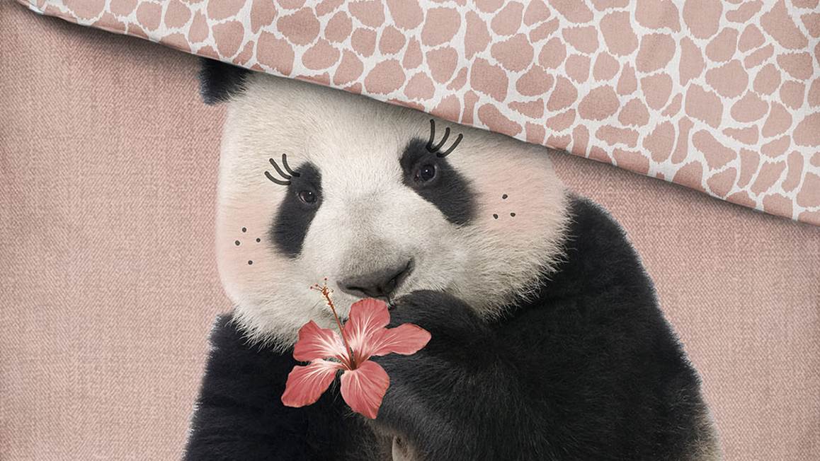 Covers & Co Panda dreams housse de couette