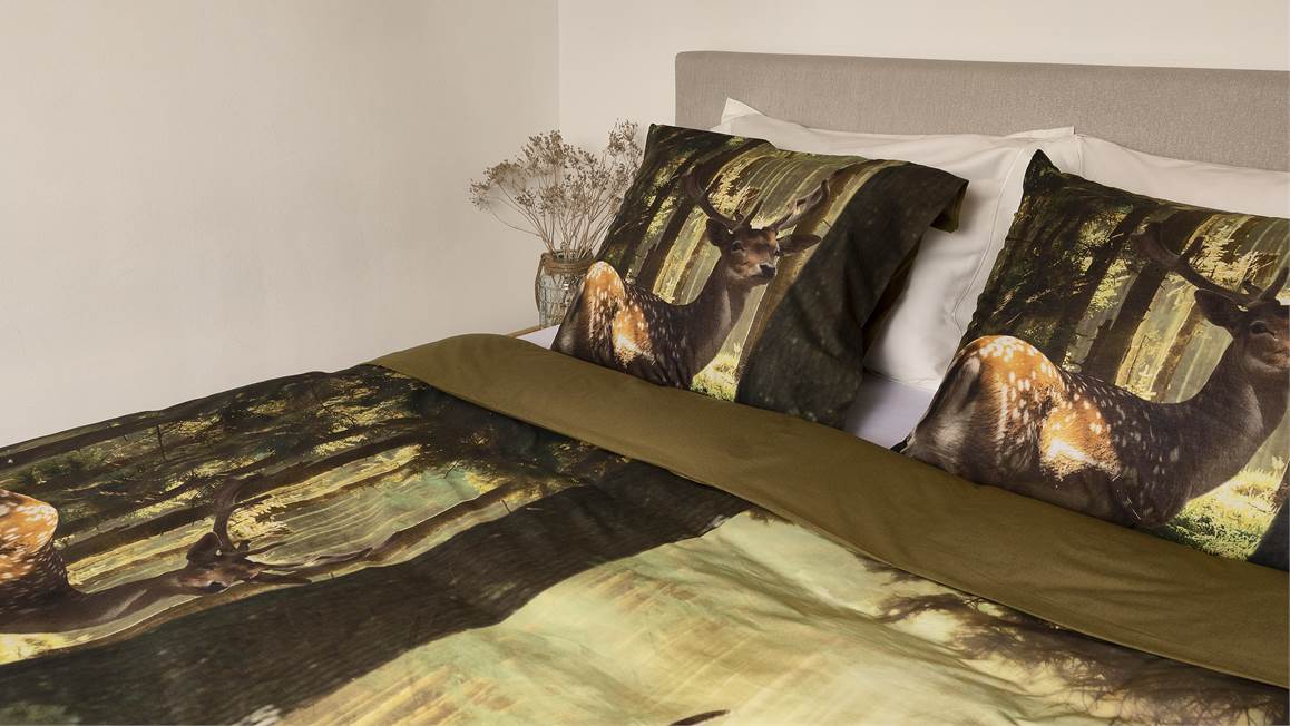 Snoozing Rayons housse de couette multicolore