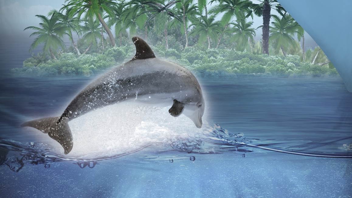 Snoozing Paradis des Dauphins housse de couette en flanelle multicolore
