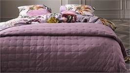 Essenza Ruth plaid violet