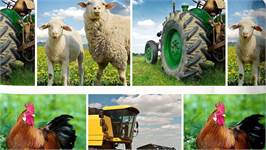 Good Morning Agri housse de couette multicolore