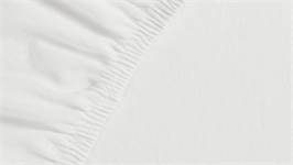 Ambiante drap-housse jersey