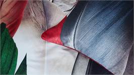 Snoozing Rover housse de couette multicolore