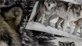 Snoozing Wolf housse de couette en flanelle