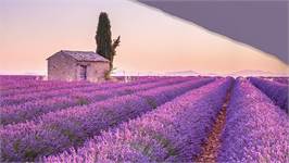 Pure Lavande housse de couette