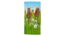 Good Morning Chevaux serviette de plage multicolore