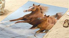 Good Morning Free serviette de plage