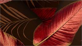 Ambiante Cordyline housse de couette
