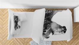 Snoozing Cheval Blanc housse de couette en flanelle blanc