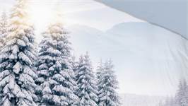 Pure Vue Hivernale housse de couette