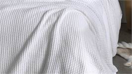 Heckettlane Wafel plaid