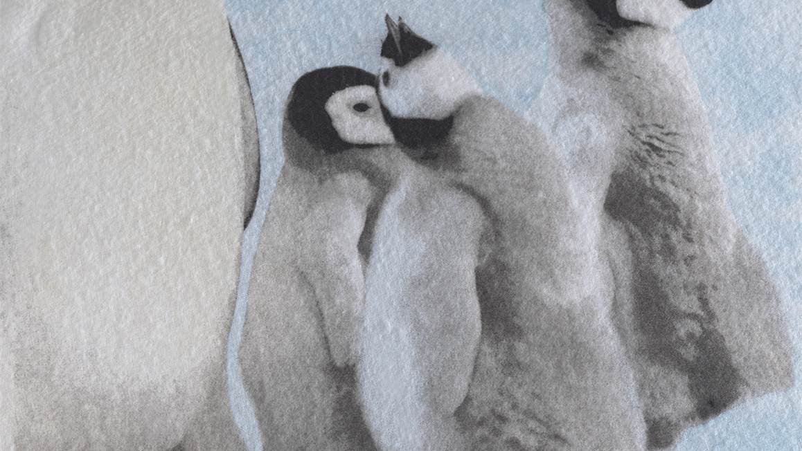 Zohome Pingu housse de couette en flanelle