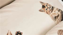 SNURK Amours de Minous housse de couette