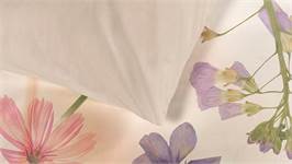 Snoozing Vivienne housse de couette