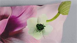 Pure Chimai housse de couette