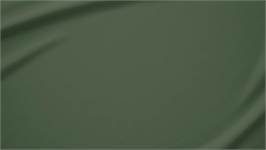 Snoozing taies d'oreiller coton 57 fils (lot de 2)