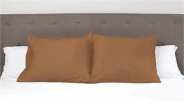 Snoozing taies d'oreiller flanelle (lot de 2)