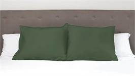 Snoozing taies d'oreiller flanelle (lot de 2)