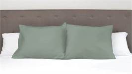 Snoozing taies d'oreiller satin (lot de 2)