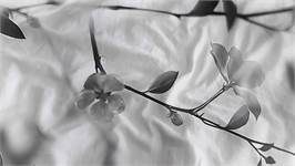 Heckettlane Berta housse de couette