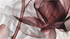 Heckettlane Harriet housse de couette