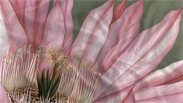 Heckettlane Mesa housse de couette