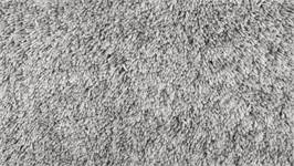 Zohome Miscela tapis de bain