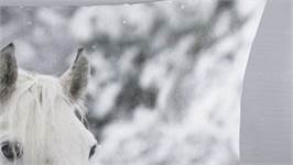 Good Morning Bonnie housse de couette en flanelle