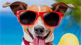 Good Morning Diesel serviette de plage