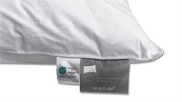 Snoozing Swiss Dreams oreiller synthétique medium