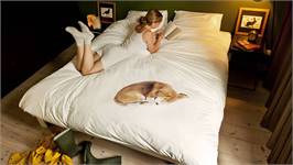 SNURK Bob housse de couette blanc