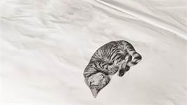 SNURK Ollie housse de couette