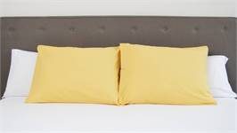 Snoozing taies d'oreiller coton 57 fils (lot de 2)