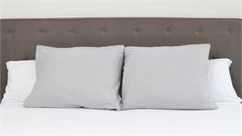 Snoozing taies d'oreiller coton 57 fils (lot de 2)