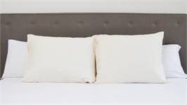 Snoozing taies d'oreiller coton 57 fils (lot de 2)